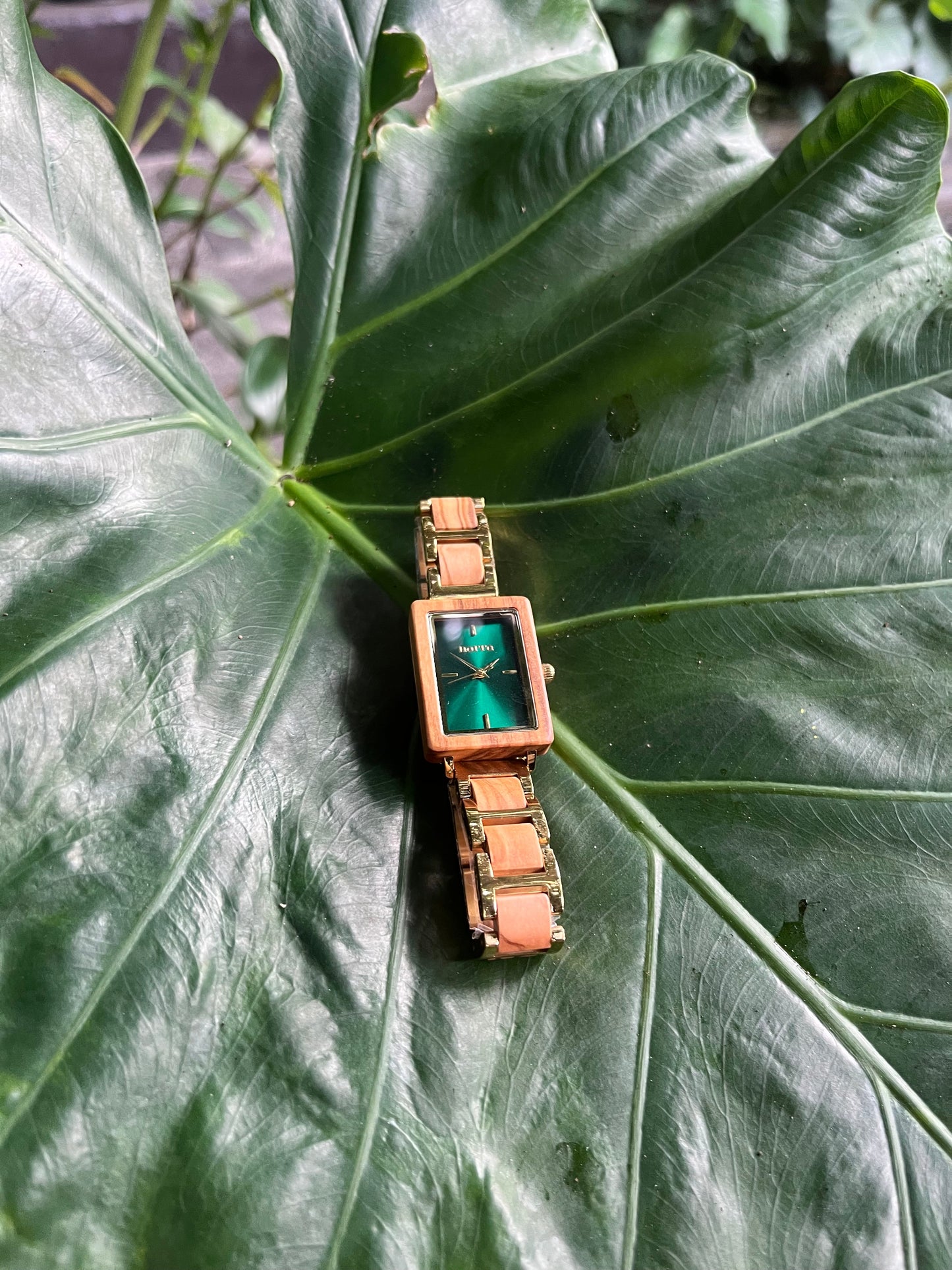 Emerald in Olive and Green - Narra Wooden Watches