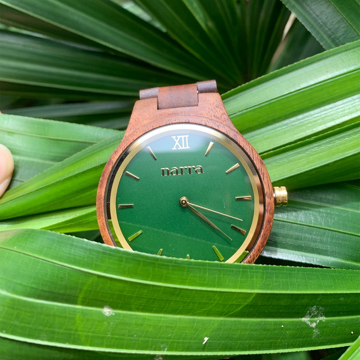 Classic Forest in Acacia and Green - Narra Wooden Watches