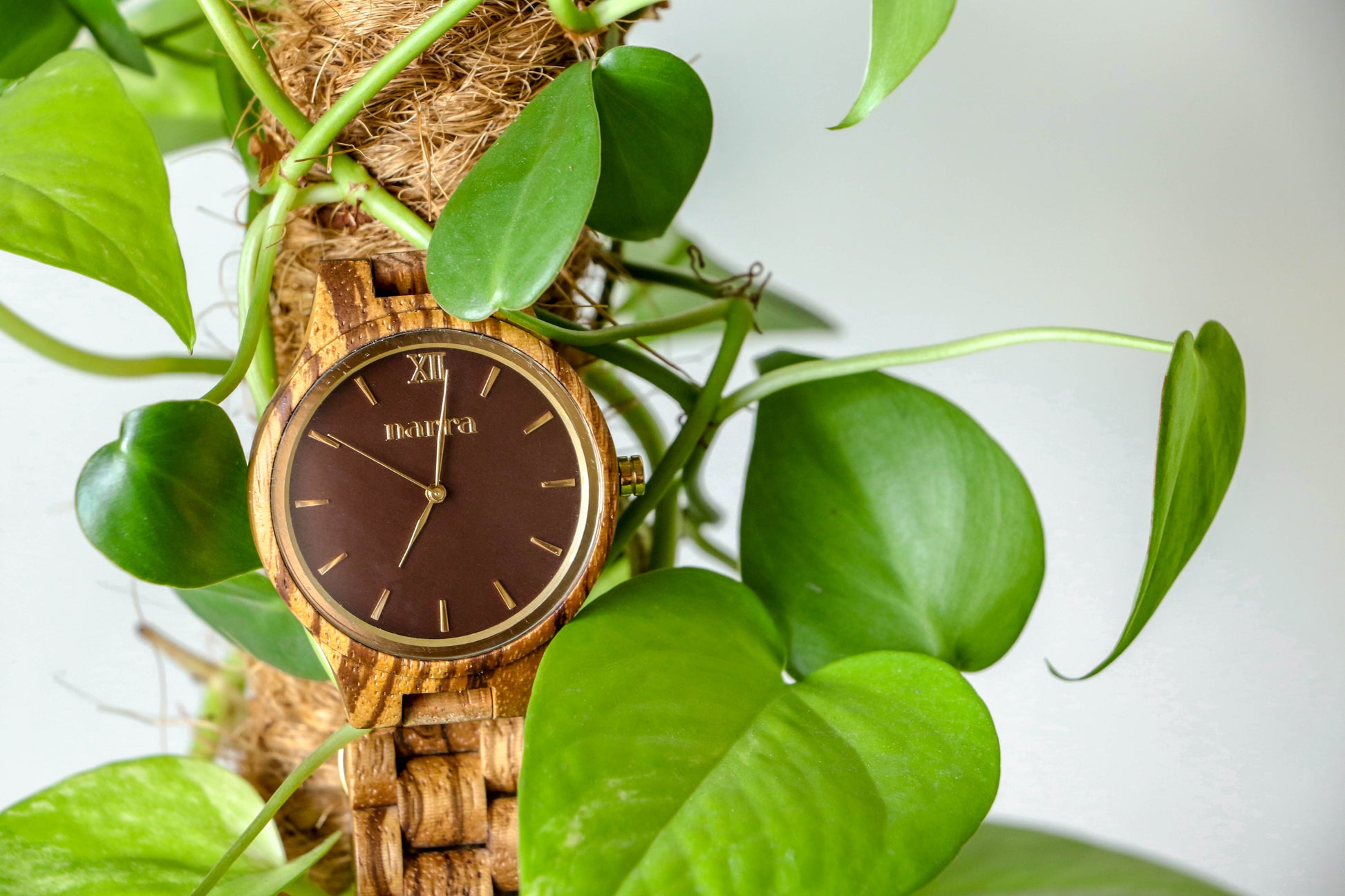 Classic Terra in Zebralwood and Brown - Narra Wooden Watches